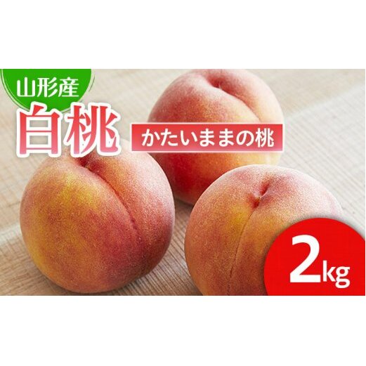 硬い食感が人気!山形産パリパリの硬い桃 約2kg [令和7年産先行予約]FU21-078