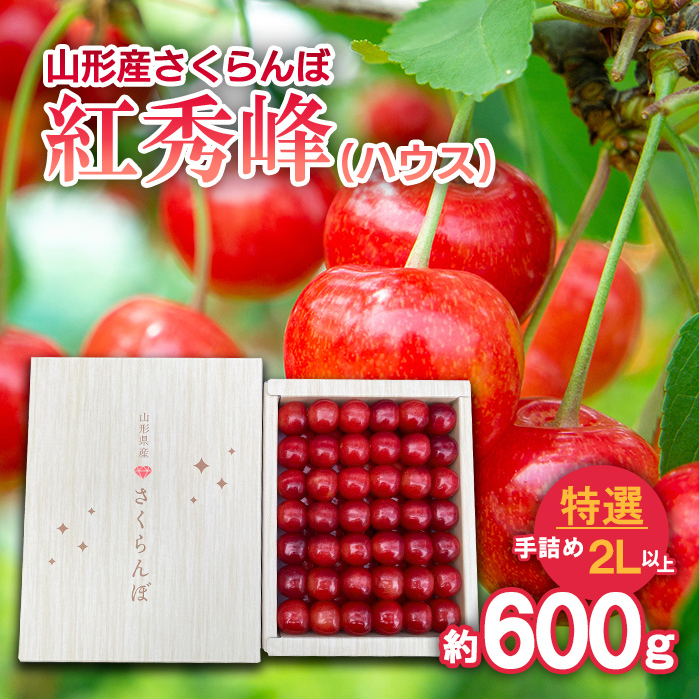 さくらんぼ 紅秀峰(ハウス)特選 手詰め 2L以上 約600g [令和7年産先行予約]FS24-626