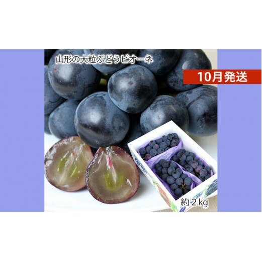 山形のぶどう ピオーネ 秀品 約2kg(2〜5房)[10月発送] [令和7年産先行予約]FS24-648