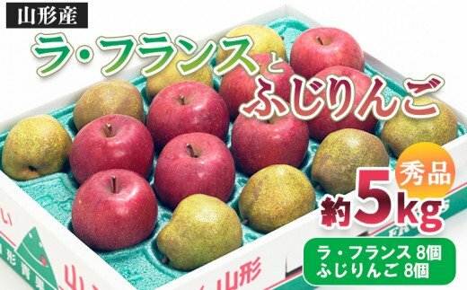 山形市産 ふじりんご・ラ・フランス 詰合せ 5kg FY25-846