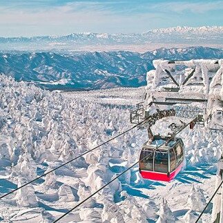 2024-2025シーズン】蔵王温泉スキー場 リフト1日券 特別優待券 4枚 FZ22-913 | 山形県山形市 | JRE MALLふるさと納税