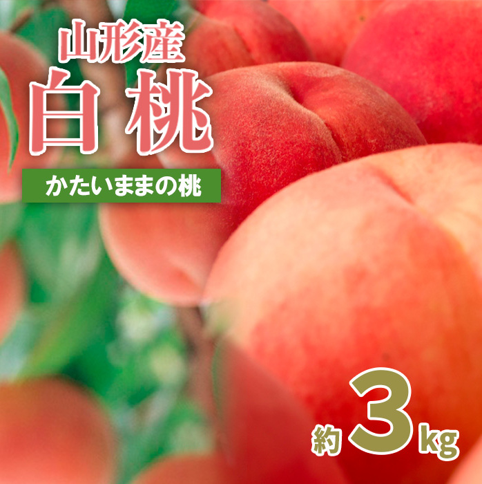 山形の産直所で人気!硬くてカリカリの桃 3kg(5〜12玉) [令和7年産先行予約]FU21-831