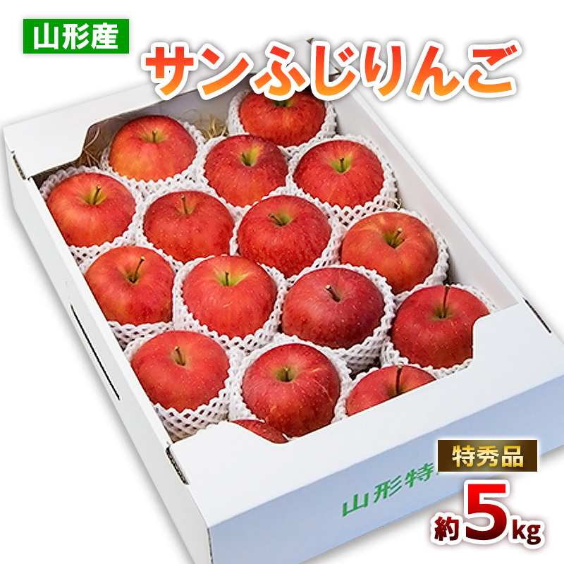山形のサンふじりんご 特秀品 約5kg(10〜25玉) FZ19-137