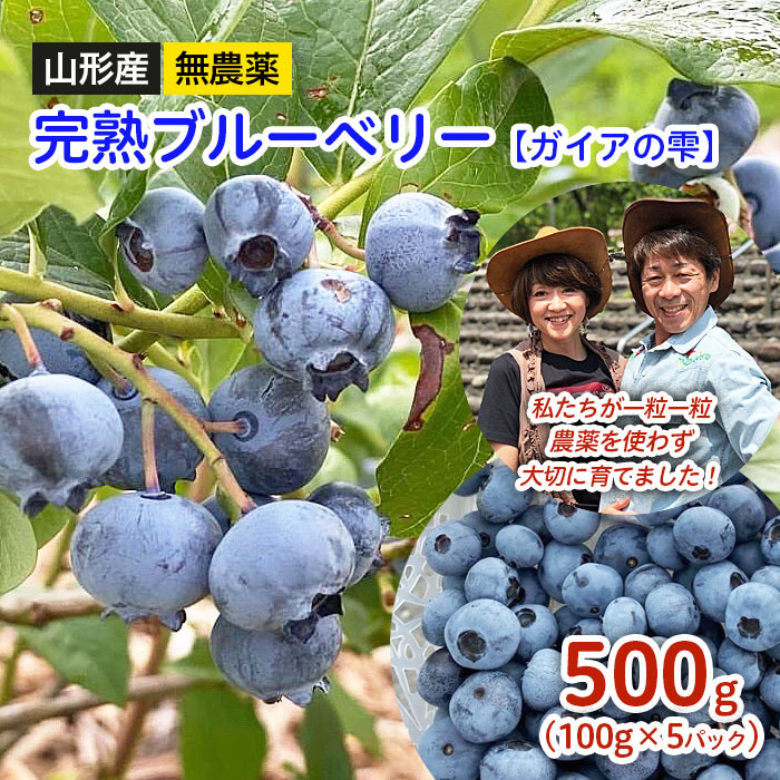 山形産 無農薬 完熟ブルーベリー[ガイアの雫]500g(100g×5パック) [令和7年産先行予約]FS24-500