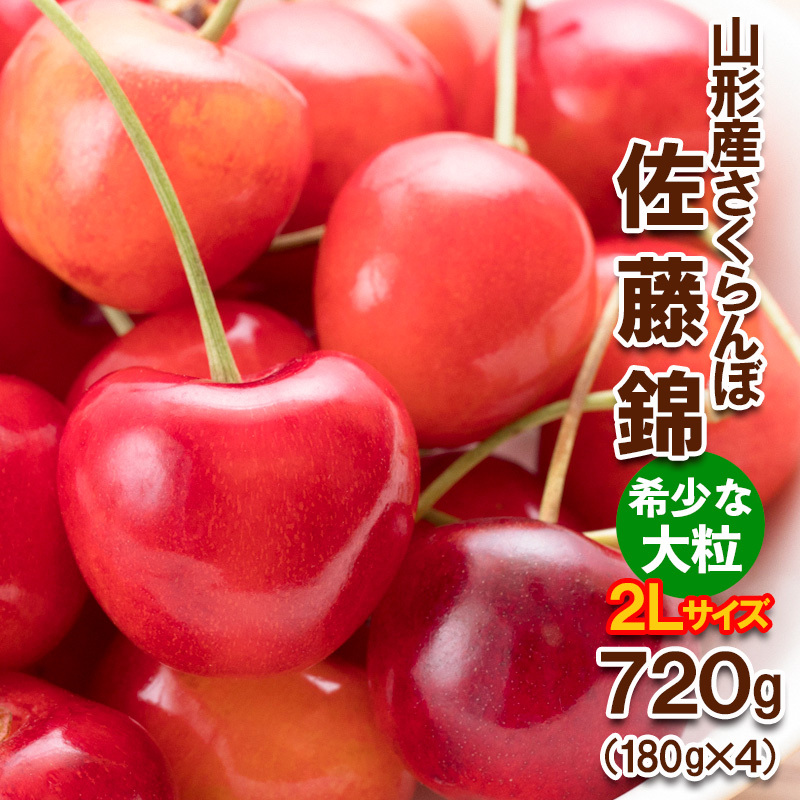 さくらんぼ 佐藤錦"希少な大粒" 2Lサイズ 720g(180g×4パック) [令和8年産先行予約]FS25-569