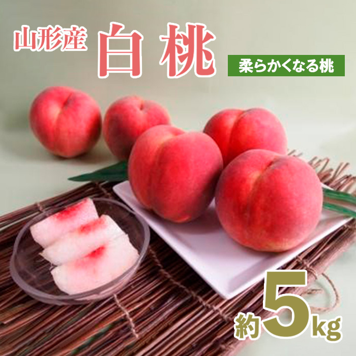 山形産白桃 小玉サイズ 約5kg(18〜22玉)[柔らかくなる桃] [令和7年産先行予約]FU21-159