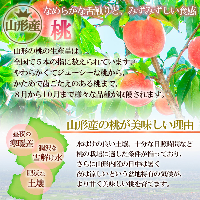 山形産白桃 小玉サイズ 約5kg(18～22玉)[柔らかくなる桃] 【令和