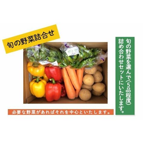 旬の野菜詰合せ[障がい者支援] FZ19-523