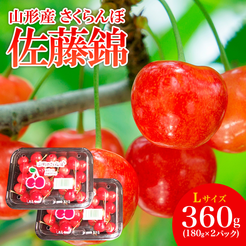 山形産 さくらんぼ 特選 佐藤錦 L 360g(180g×2パック入) 【令和8年産先行予約】FS25-503