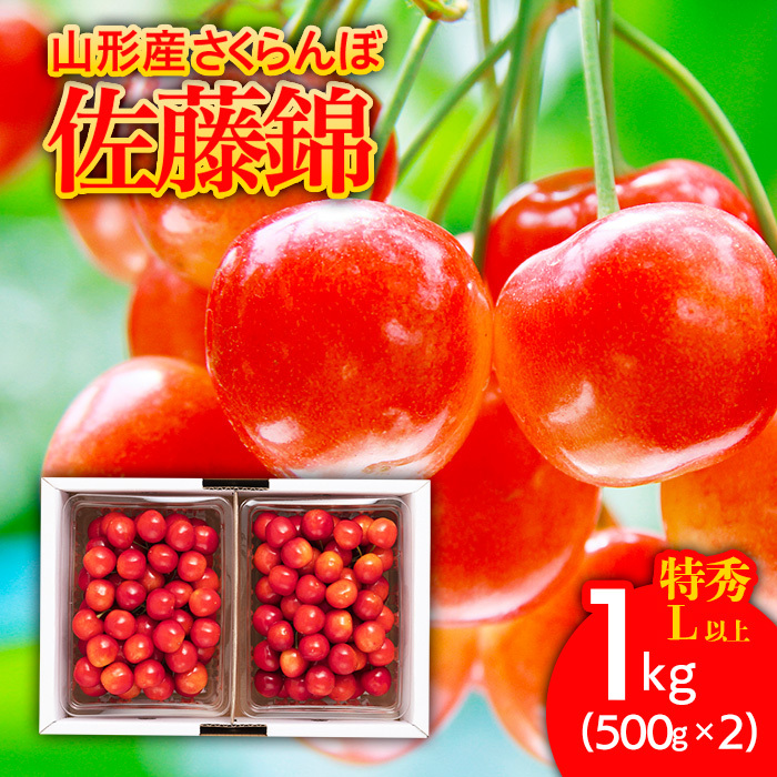 さくらんぼ 佐藤錦1kg(500g×2) 特秀 L以上 バラ詰め [令和8年産先行予約]FS25-508