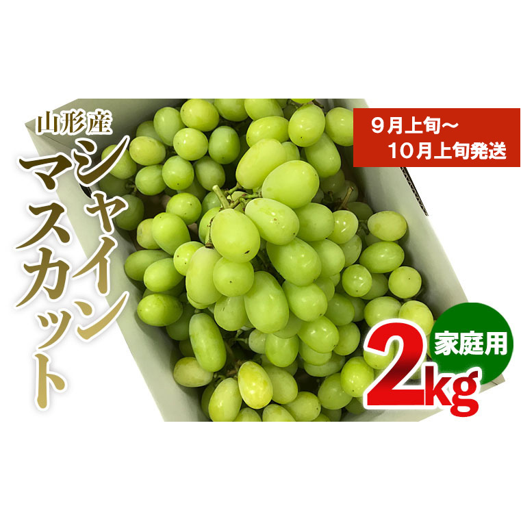 [ご家庭用]シャインマスカット 2kg入り 1箱 [前半] [令和7年産先行予約]FU19-485