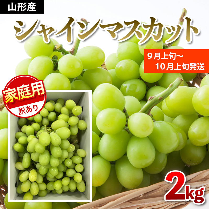 【ご家庭用】シャインマスカット 2kg入り 1箱 [前半]【令和8年産先行予約】FU19-485