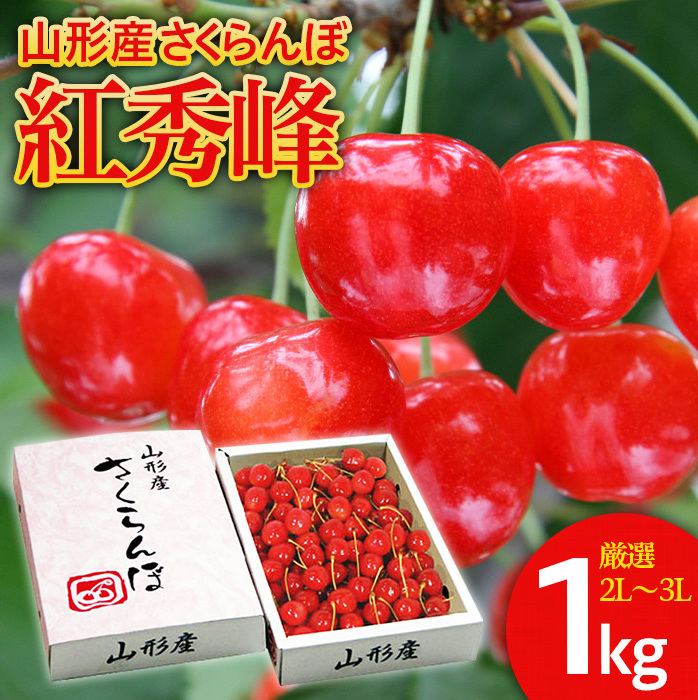 さくらんぼ 紅秀峰 "希少な大粒" 厳選 2L〜3L 1kg入り1箱 [令和8年産先行予約]FS25-565