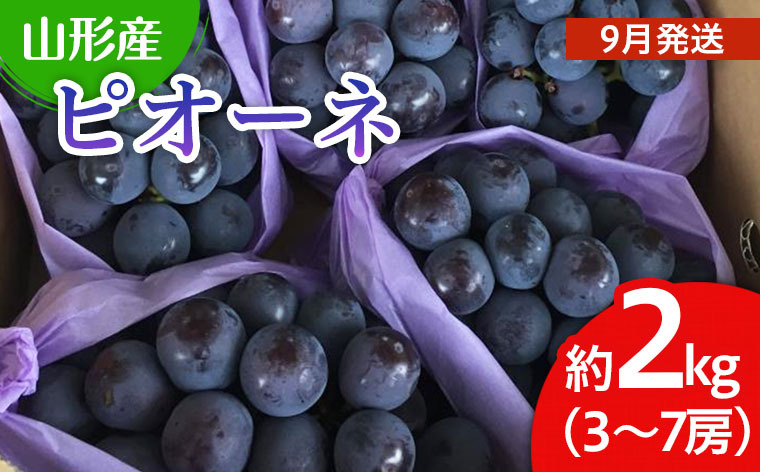 山形市産 ぶどう(ピオーネ) 秀 2kg(3〜7房)[前半] 【令和7年産先行予約】FU19-697