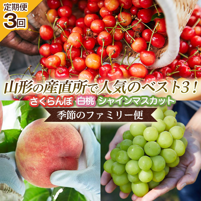 [定期便3回]山形の産直所で人気のベスト3!さくらんぼ・白桃・シャインマスカット[季節のファミリー便] FY25-223