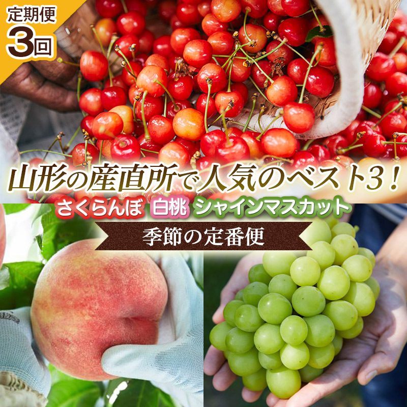 [定期便3回]山形の産直所で人気のベスト3!さくらんぼ・白桃・シャインマスカット[季節の定番便] FZ25-946 くだもの 果物 フルーツ 山形 山形県 山形市