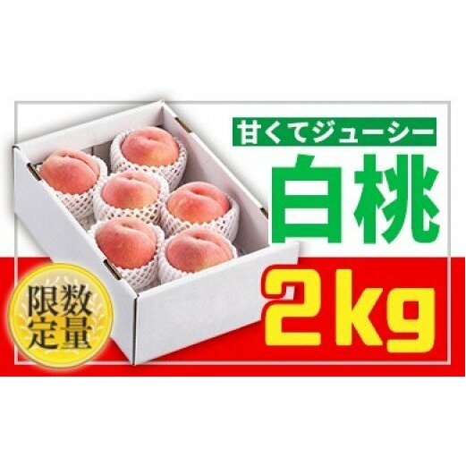 フルーツ王国山形★白桃秀品2kg[かため系品種] FS24-682
