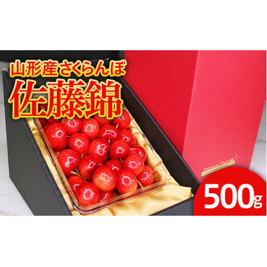 旬大粒★山形産 さくらんぼ 佐藤錦 2L 500g [令和7年産先行予約]FU21-031