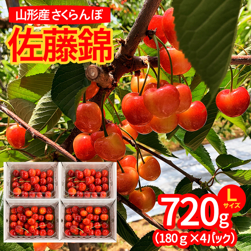 山形市産 さくらんぼ 佐藤錦 L以上 720g(180g×4パック) 【令和8年産先行予約】 FS25-531