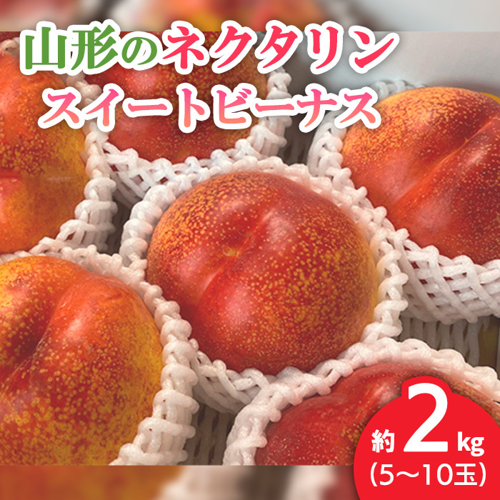 山形のネクタリン(スイートビーナス)約2kg(5〜10玉) [令和7年産先行予約]FS24-568