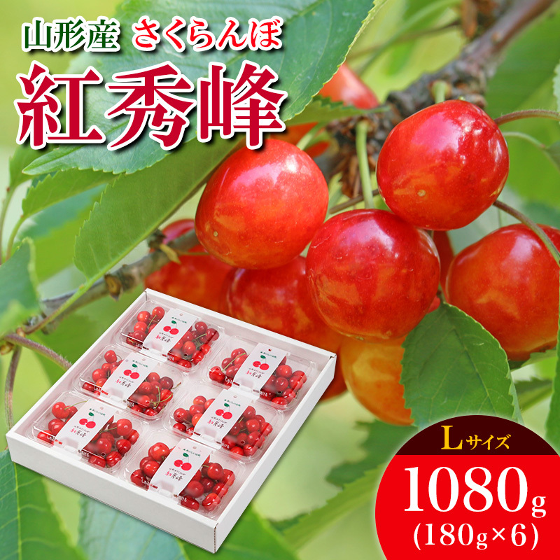 さくらんぼ 紅秀峰 L 1080g(180g×6) 【令和8年産先行予約】FS25-536