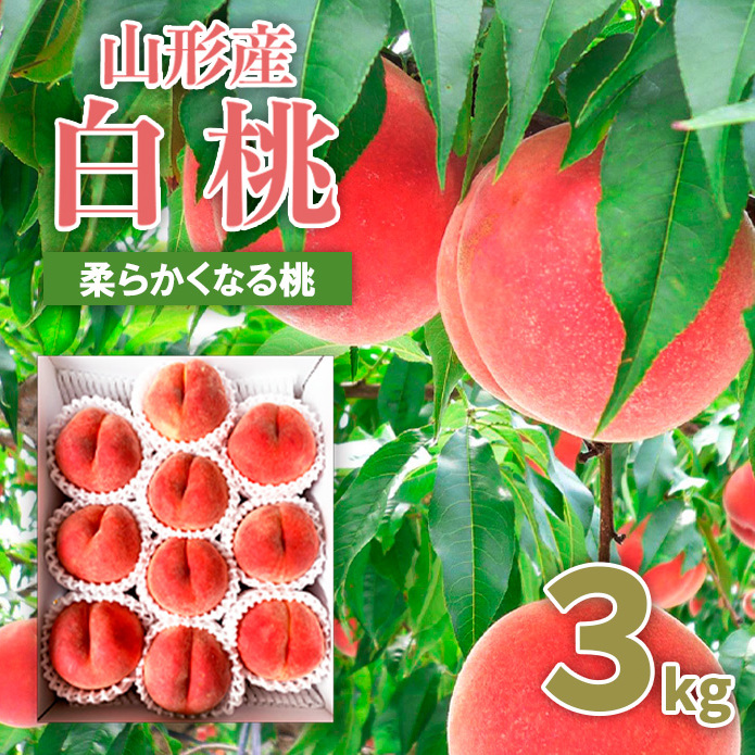 山形市産 桃 秀3kg(5～13玉)[柔らかくなる桃] 【令和6年産先行予約】FU20-062 山形県山形市 JRE MALLふるさと納税