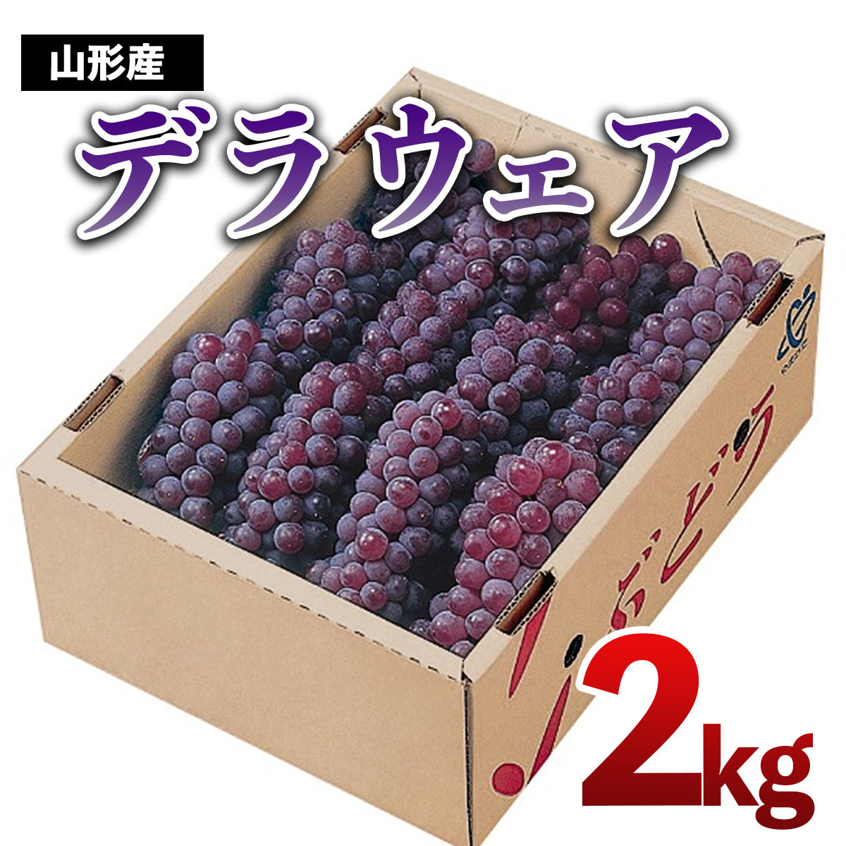 山形市産 デラウェア 2kg(10〜12房) [令和7年産先行予約]FU18-923