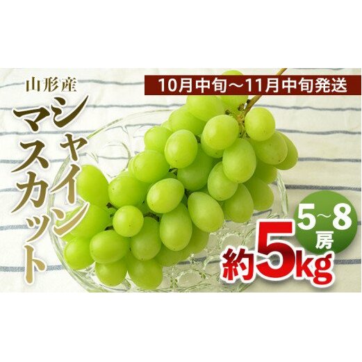 山形の大粒シャインマスカット 秀品 約5kg(5〜8房)[10中旬〜11月中旬発送] [令和7年産先行予約]FS24-646