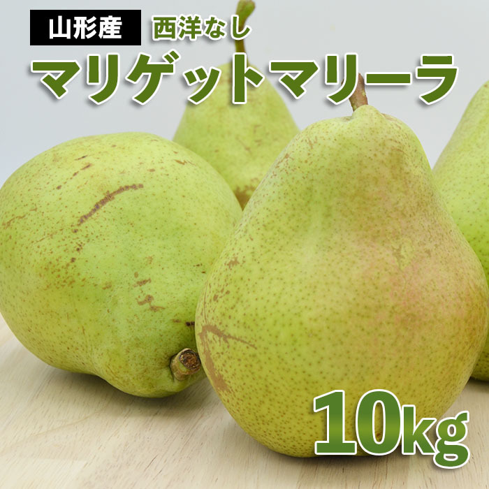 山形市産 西洋なし(マリゲットマリーラ) 秀 10kg(5kg×2) 14玉〜30玉 [令和7年産先行予約]FS24-585