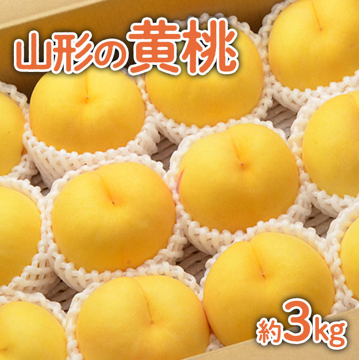 山形の黄桃 約3kg(6〜13玉)[柔らかくなる品種・果肉やや硬め] [令和7年産先行予約]FU22-055