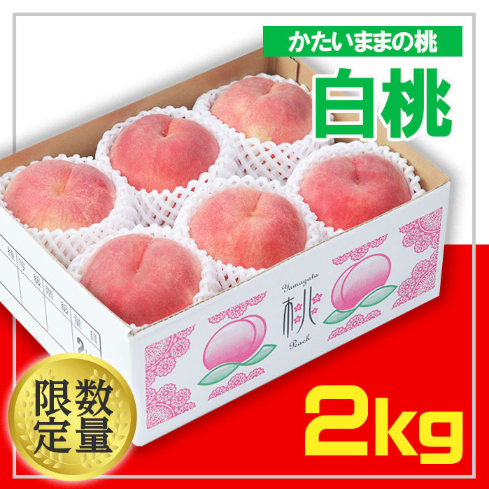 ☆フルーツ王国山形☆白桃 秀品 2kg(かたいままの桃) FS24-684
