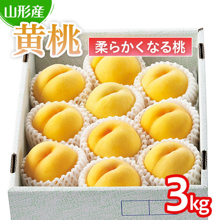山形の桃(黄桃) 3kg(6〜12玉)(品種おまかせ)[柔らかくなる桃] [令和7年産先行予約]FU22-179