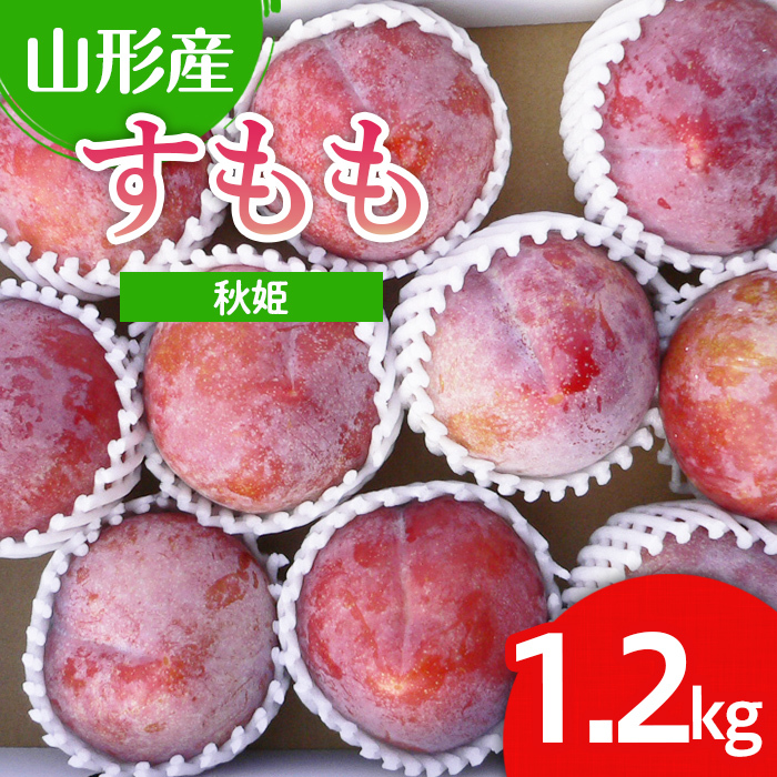 山形市産 すもも(秋姫) 1.2kg(7〜12玉) [令和7年産先行予約]FU22-026