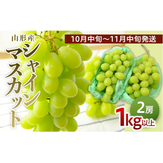 山形のぶどう シャインマスカット 1kg以上(2房)[10月中旬〜11月中旬お届け] [令和7年産先行予約]FS24-574