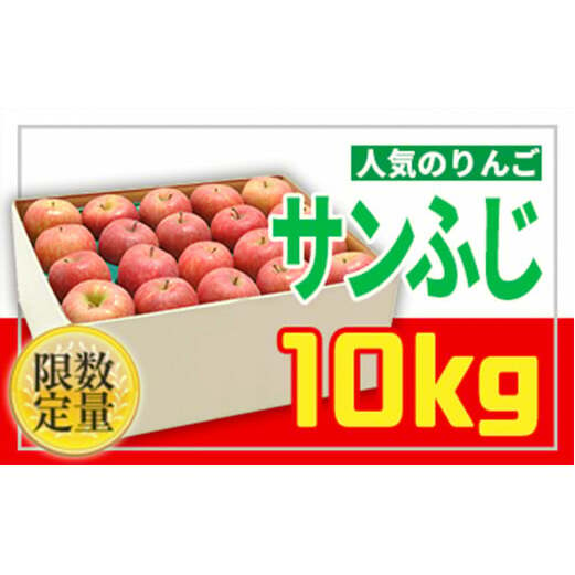 ☆フルーツ王国山形☆無袋サンふじりんご 秀品 10kg FZ22-922