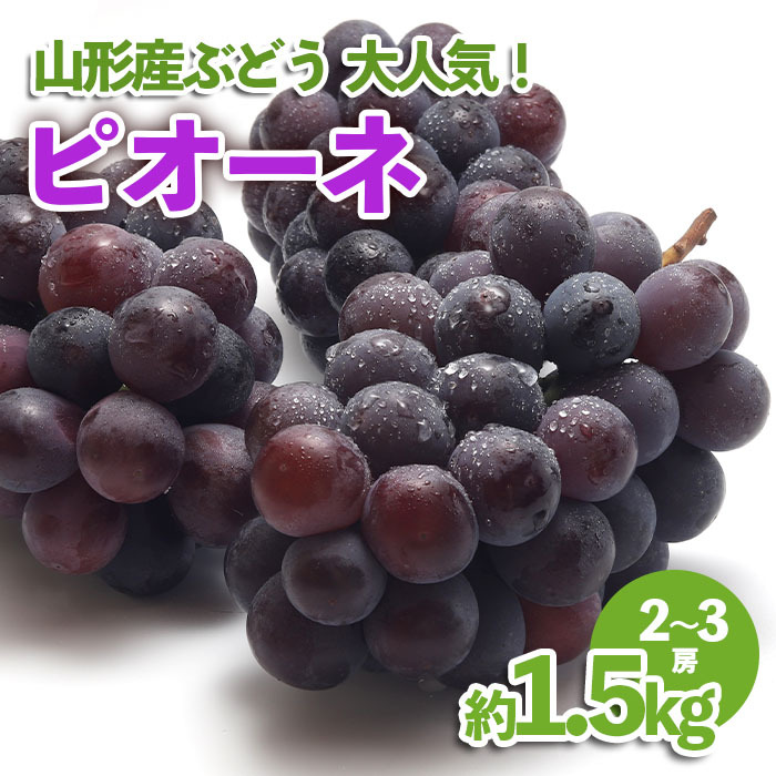 山形産 ぶどう 大人気!ピオーネ 約1.5kg [令和7年産先行予約]FU23-537