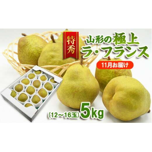[特秀]山形の極上 ラフランス 特秀品 約5kg(12〜16玉)[11月お届け] FZ23-314