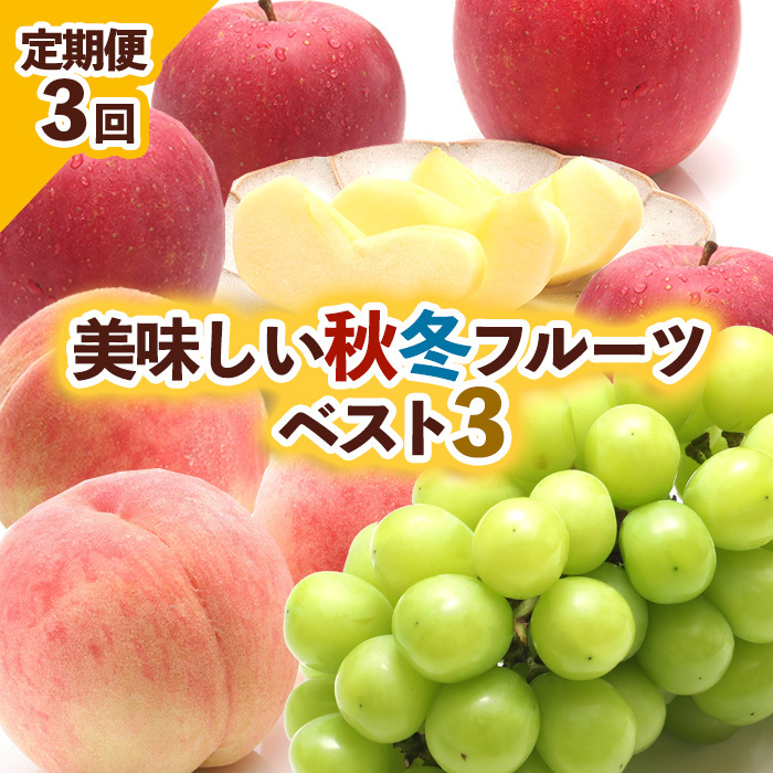 [定期便3回]美味しい秋冬フルーツベスト3 [令和7年産先行予約]FU23-960