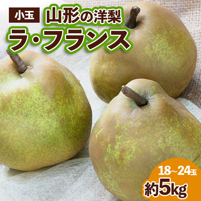 山形の洋梨 ラフランス 優品 約5kg (小玉2L～M/18～24玉) FZ23-652