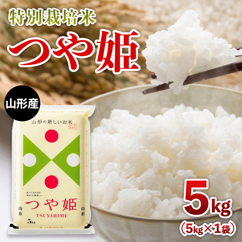 [限定数]令和6年産 山形産 特別栽培米 つや姫 5kg FY25-304