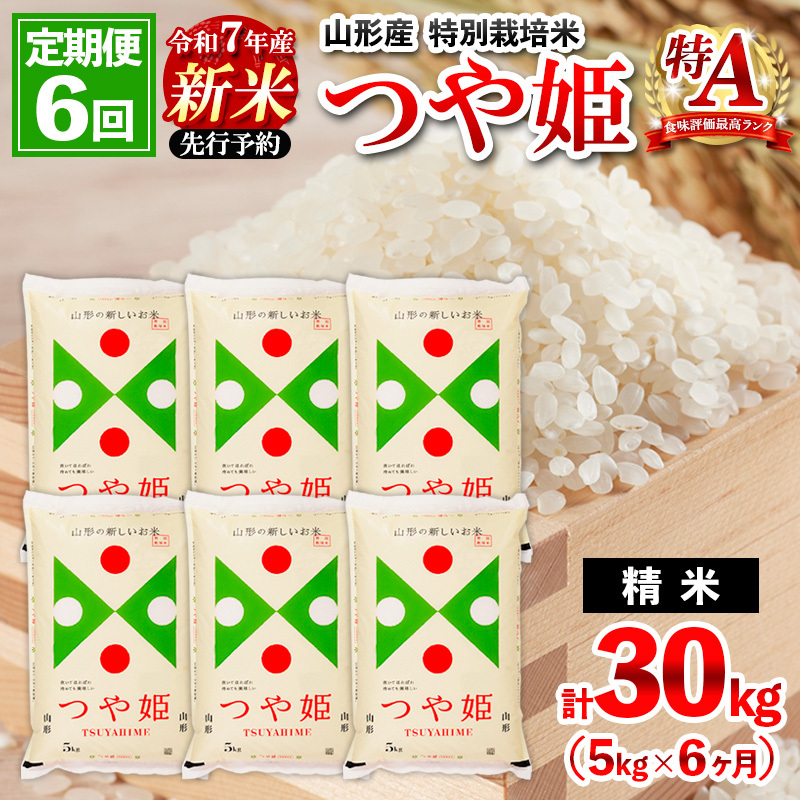 【1月発送開始】【定期便6回】 先行予約 令和7年産 新米 山形産 特別栽培米 つや姫 5kg×6ケ月(計30kg) FZ25-090
