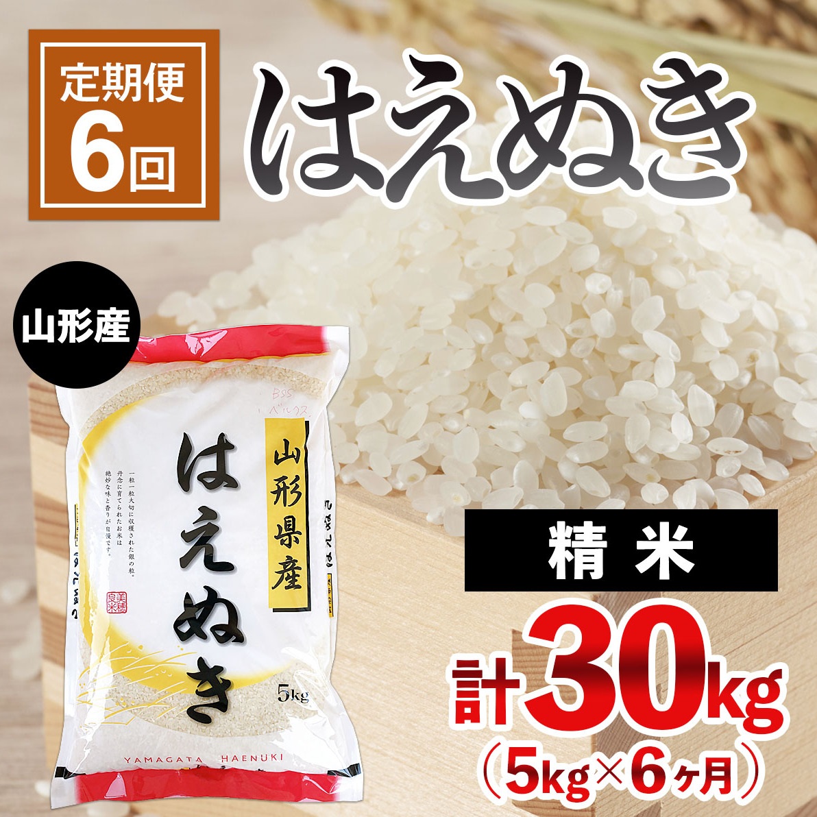 [定期便6回]山形産 はえぬき 5kg×6ヶ月(計30kg) FY24-473