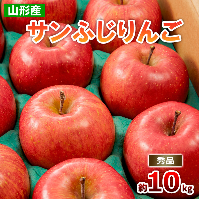 山形のサンふじりんご 約10kg 秀品(20〜50玉) FZ19-140