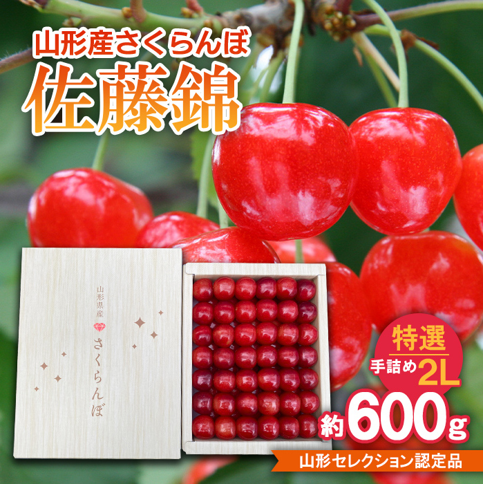 さくらんぼ 佐藤錦 特選 手詰め 2L 約600g 山形セレクション認定品 [令和7年産先行予約]FS24-630