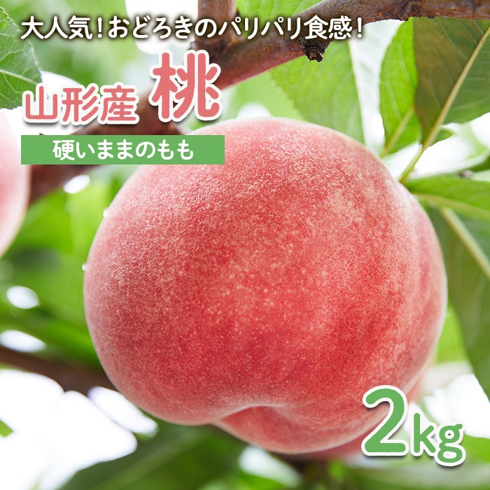 [硬い桃好きの方へ]大人気!おどろきのパリパリ食感!山形産 もも 2kg [令和7年産先行予約]FU22-020