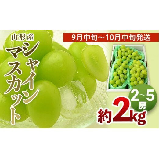 山形のシャインマスカット 秀品 約2kg(2～5房)[9中旬～10月中旬発送] 【令和7年産先行予約】FS24-642
