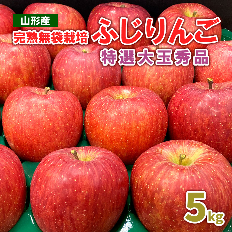 完熟無袋栽培ふじりんご 特選大玉秀品5kg入り FY25-900