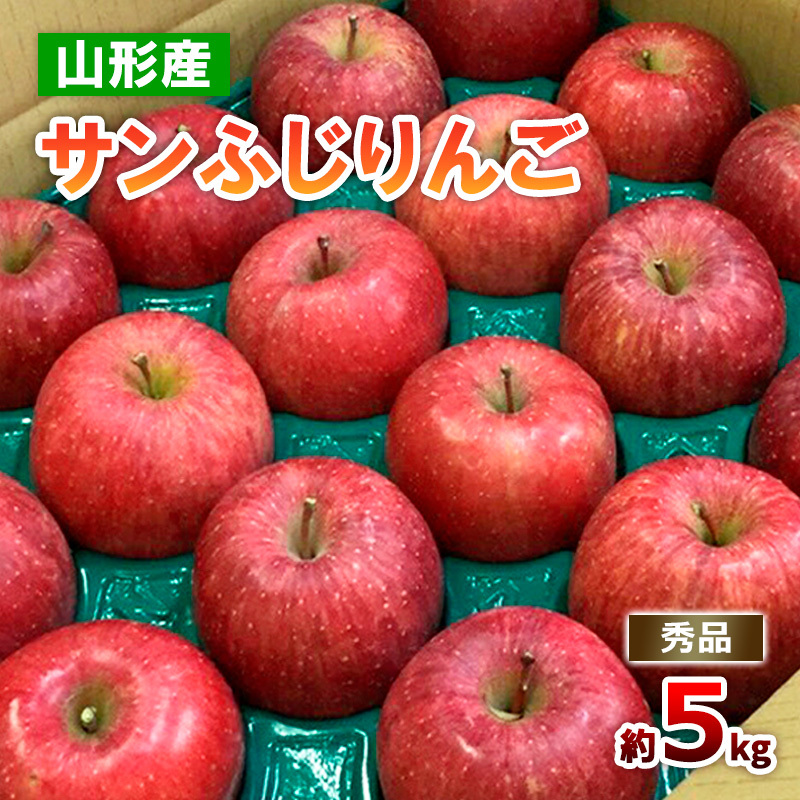 山形のサンふじりんご 秀品 約5kg(10〜25玉) FZ18-211