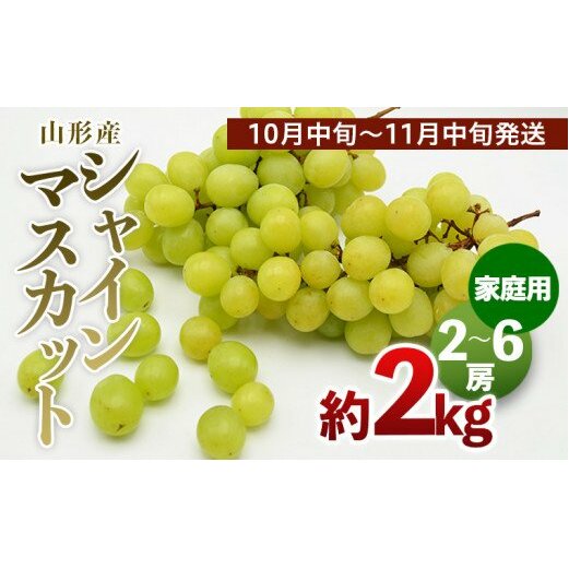 【ご家庭用】山形のシャインマスカット 優品 約2kg(2～6房)[10月中旬～11月中旬発送] 【令和7年産先行予約】FS24-577