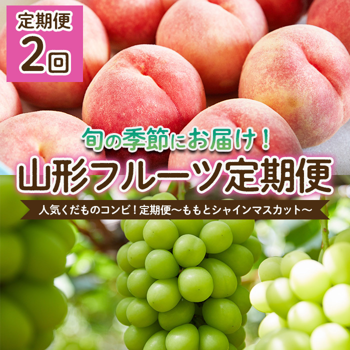 [定期便2回]人気くだものコンビ!定期便〜ももとシャインマスカット〜 [令和7年産先行予約]FU22-022